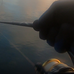 水面爆発！！トップシーバス炸裂！！